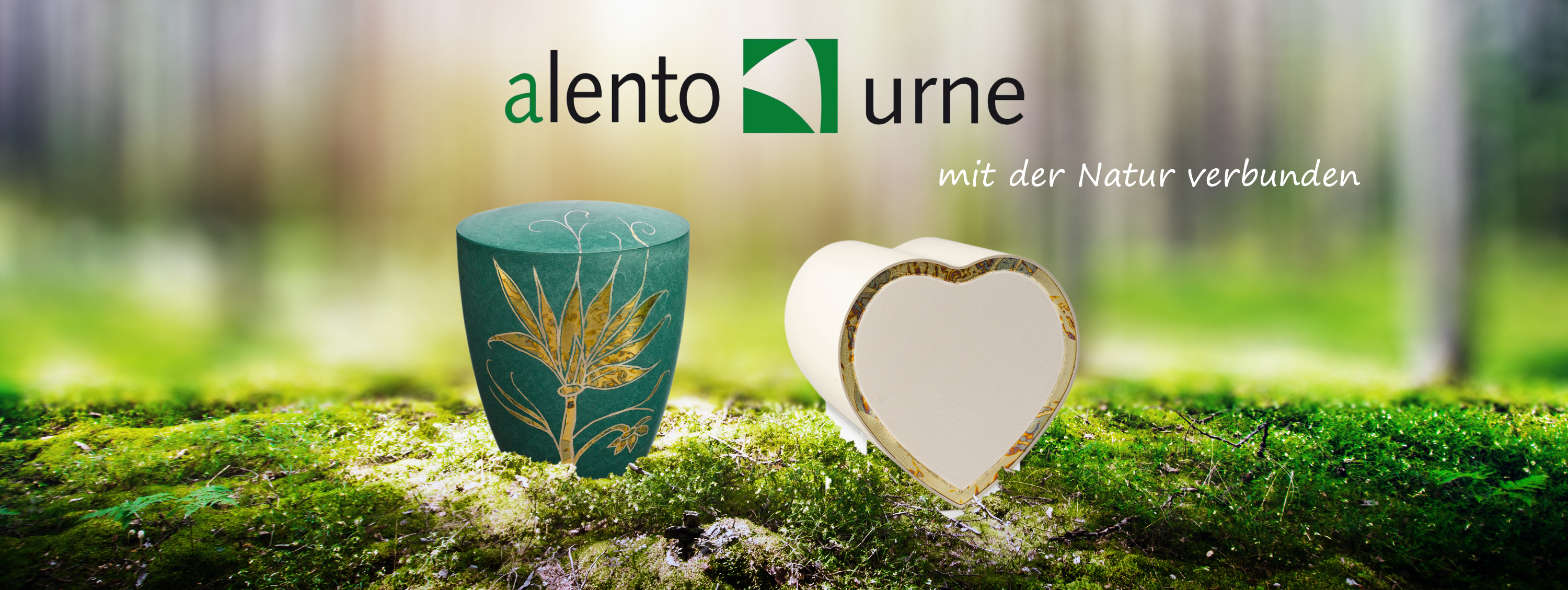 alento startNQ.jpg